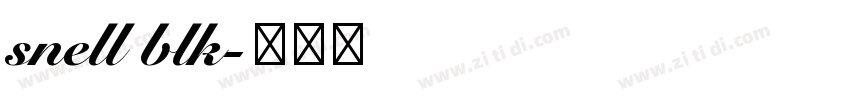snell blk字体转换